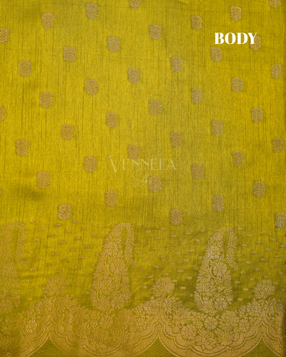 BANARAS SILK